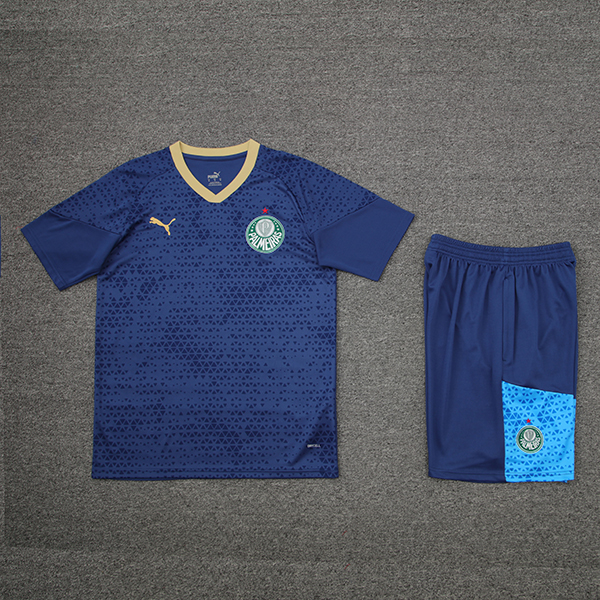 2024-25 Palmeiras Short sleeved training suit