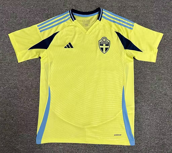 2024-25 Sweden home