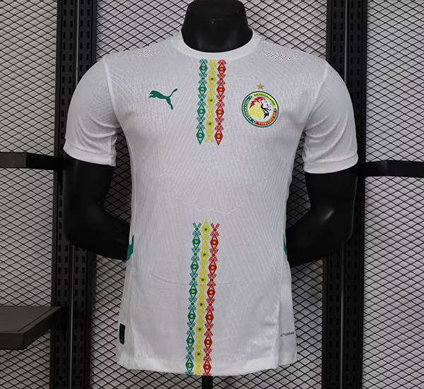 2024-25 Senegal home Player Version