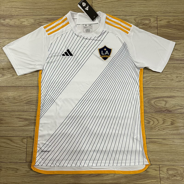 2024-25 LA home