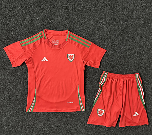 2024-25 wales home kids