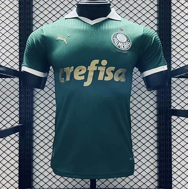 2024-25 Palmeiras home Player Version