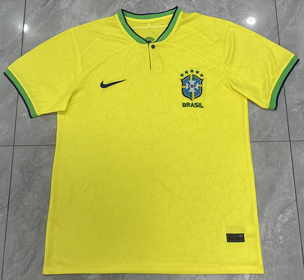 2022 World Cup Brazil home