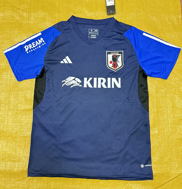 2024-25 Japan blue training