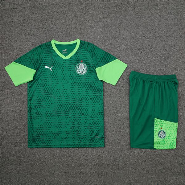 2024-25 Palmeiras Short sleeved training suit