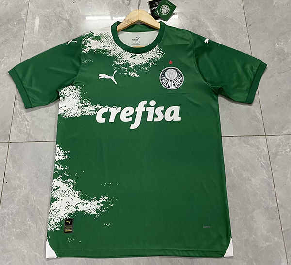 2024-25 Palmeiras Champion version