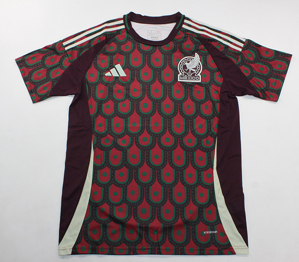 2024-25 Mexico home