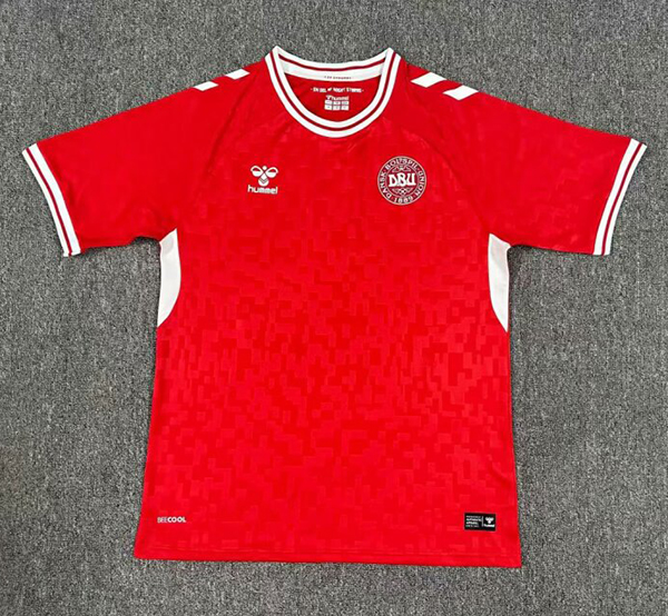 2024-25 Denmark home