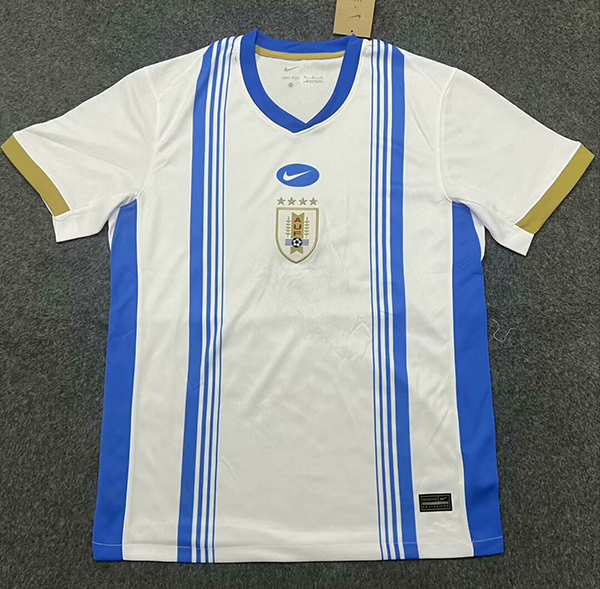 2024-25 Uruguay white Training